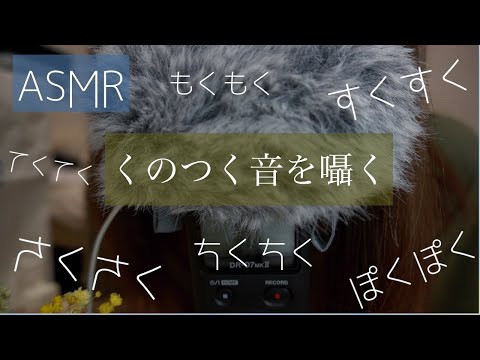 ASMR くの付くオノマトペをささやく/Japanese Trigger Words [囁き声/whisper]