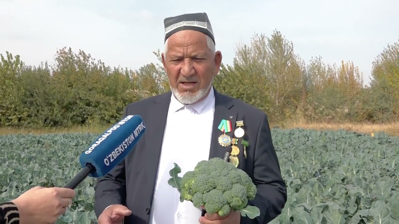 Brokkoli kapusta jetistiriwde Beruniyli qıytaq jer iyesiniń tájiriybesi