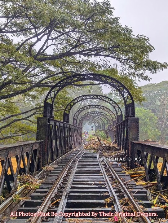ආයේ කවදනම් මේ පාරක කෝච්චියක් යන්නද..🥺😭 Ditwah Cyclone Effects #srilanka #disaster #damage #viral