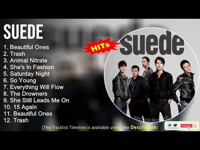 Suede Greatest Hits ~ Beautiful Ones, Trash, Animal Nitrate, She's In Fashion class=