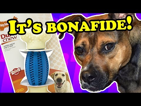 huge-nylabone-chew-toy---dog-toy-reviews-|-nylabone-durachew-double-action-bone-chew-toy
