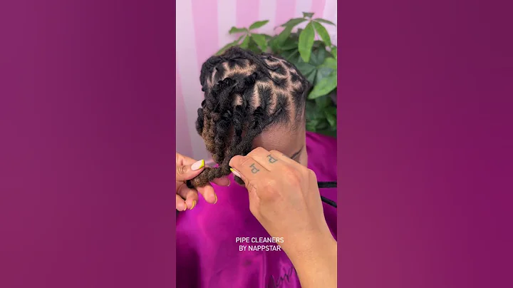 Pipe Cleaner Loc Style ✨😍 book appointment now www.NappStar.com #locs #locstylesforwomen