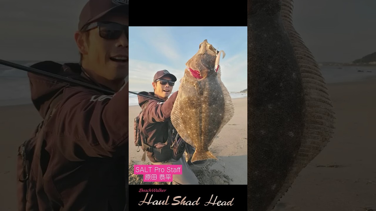 Beach Walker Haulビーチウォーカー ハウル #fishing - YouTube