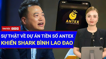 Toàn Cảnh dự án Antex! SHARK BÌNH LÀ CHỦ MƯU HAY CŨNG LÀ NẠN NHÂN? Niềm tin vào crypto Việt sụp đổ?