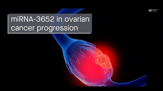 Unlocking the potential of miRNA-3652: A key player in ovarian cancer progression