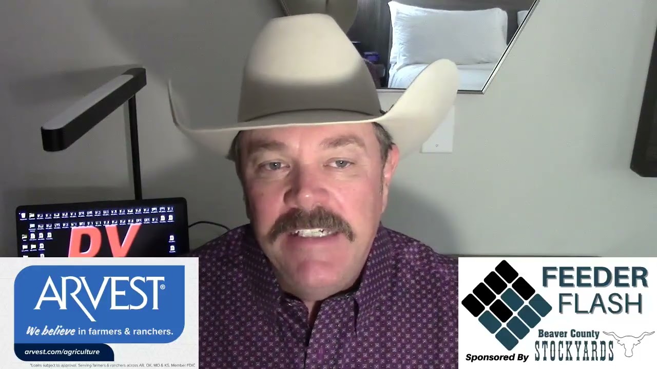 Feeder Flash 2/10:  Last of the Big Runs?