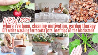 WHERE IVE BEEN, CLEANING MOTIVATION, GARDENING , DIY WHITE WASHING POTS, BEEF TIP RECIPE, FACETIME