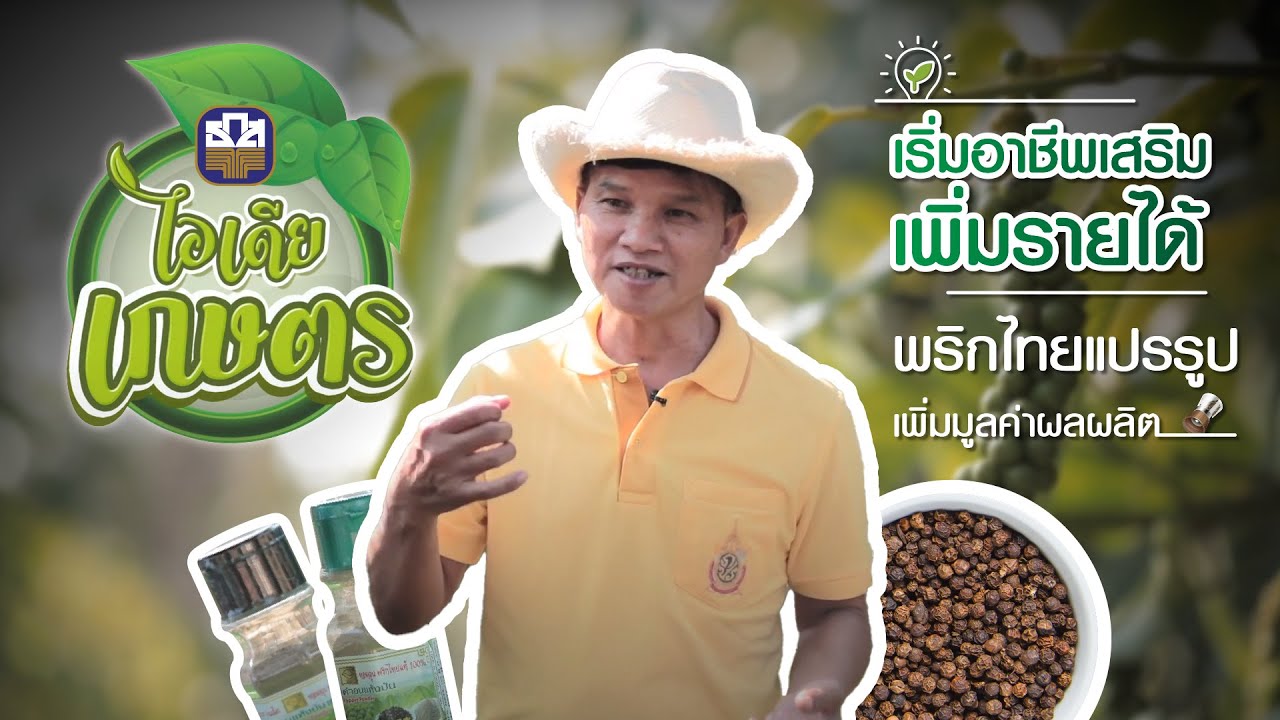 ไอเดีย เกษตร | EP.31 - “ไร่ทิพย์วลี” จ.พิจิตร พริกไทยออแกนิก