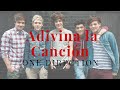 Adivina la canción One direction