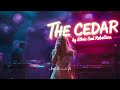 THE CEDAR | Ethnic Ambient | Melodic House | Deep House | Ethnic Melodic | Chill Electronic