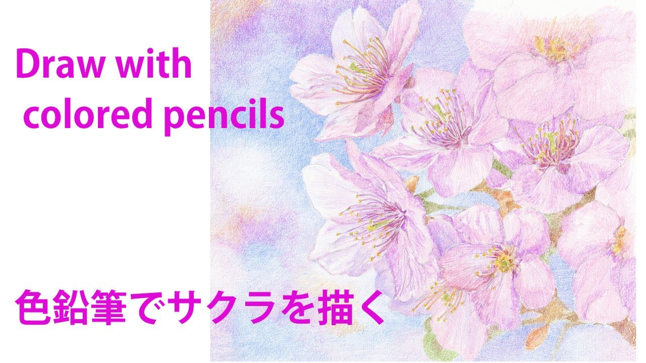 色鉛筆画 How To Draw 春色でサクラを描く Draw With Colored Pencils Youtube