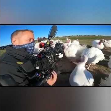 Turkey bites Cameraman and the whole squad starts Laughing😂😂😂