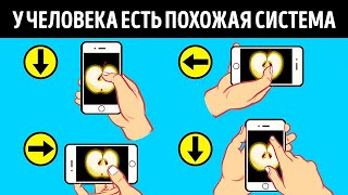 Как смартфон различает, где верх, а где низ, и другие скрытые особенности