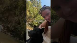 It’s never going to change