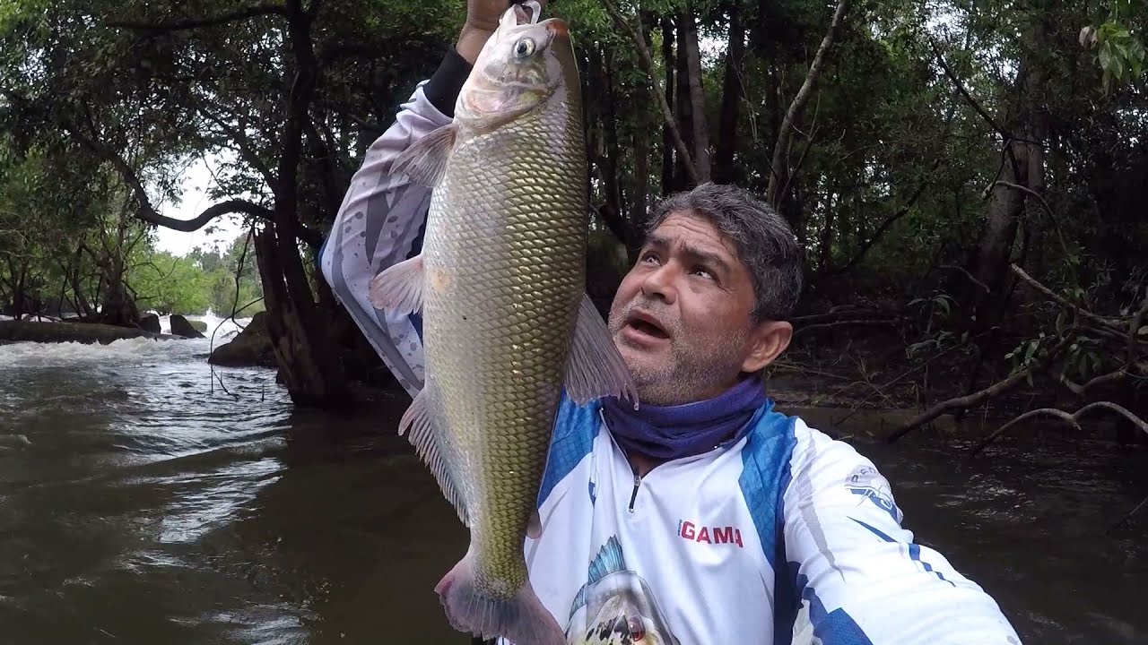 Aqui tem mais jatuarana que água, acredite.pescaria!!!