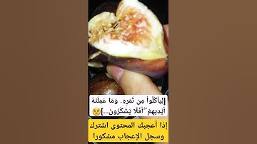 #سورة_يس #القرآن_الكريم #آيات_بينات #عبد_الباسط_عبد_الصمد #اكسبلور #تيك_توك #تلاوة_خاشعة #دويتو