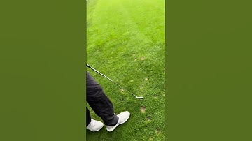 Lesson 2 Post instruction DTL video