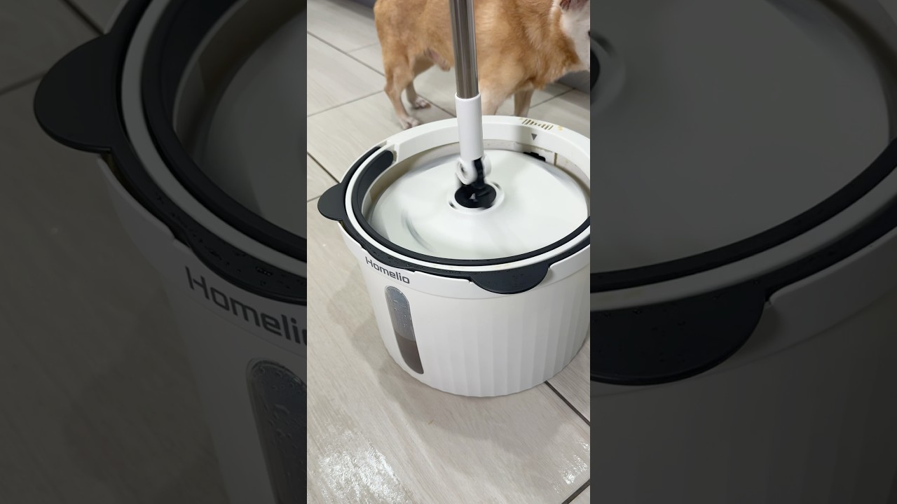 Лучшая швабра на свет