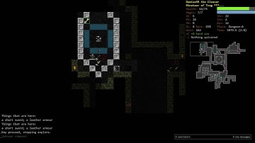 Demise speedruns Crawl Solo Part 1