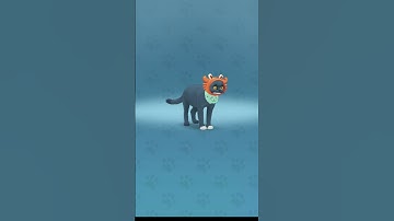 Cat Simulator: My Pets