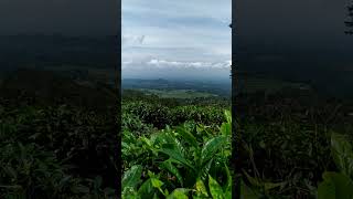 video background alam No Copyright free download