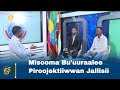Misooma Bu'uuraalee Piroojektiiwwan Jallisii
