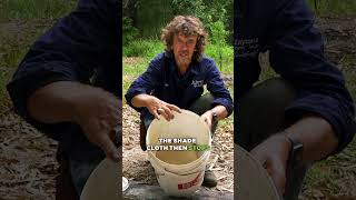 DIY Compost Worm Farm Bucket - Turn Your Food Waste into Fertilizer!