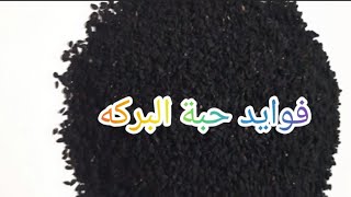 فوائد حبة البركة/فوائد حبة البركه مع العسل/فوائد حبة البركه علي الريق