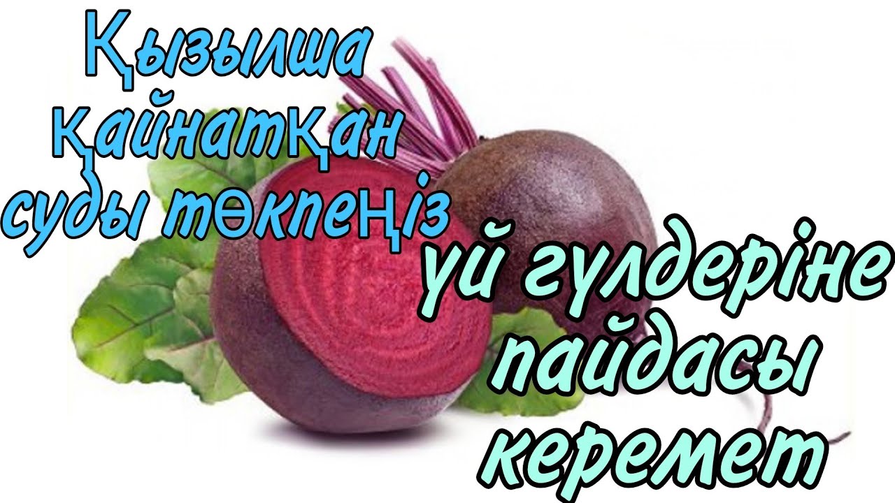 Кемпірлердің эротикалық видеосы