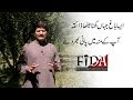 Plum orchard In Peshawar - Fida Adeel Docs - Fida Adeel