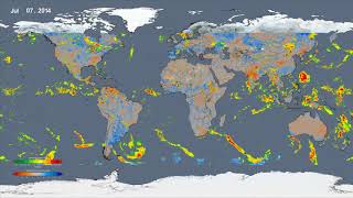 NASA-USDA-FAS Soil Moisture / IMERG visualization
