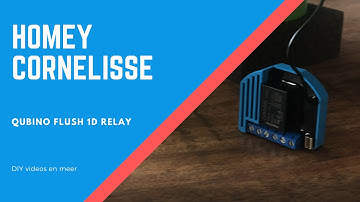 Athom Homey- Qubino Flush 1D Relay