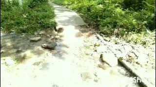 lagu daerah Jambi PANGKALAN JAMBU cipt: yurda s ,cari durian dik ngeti ,