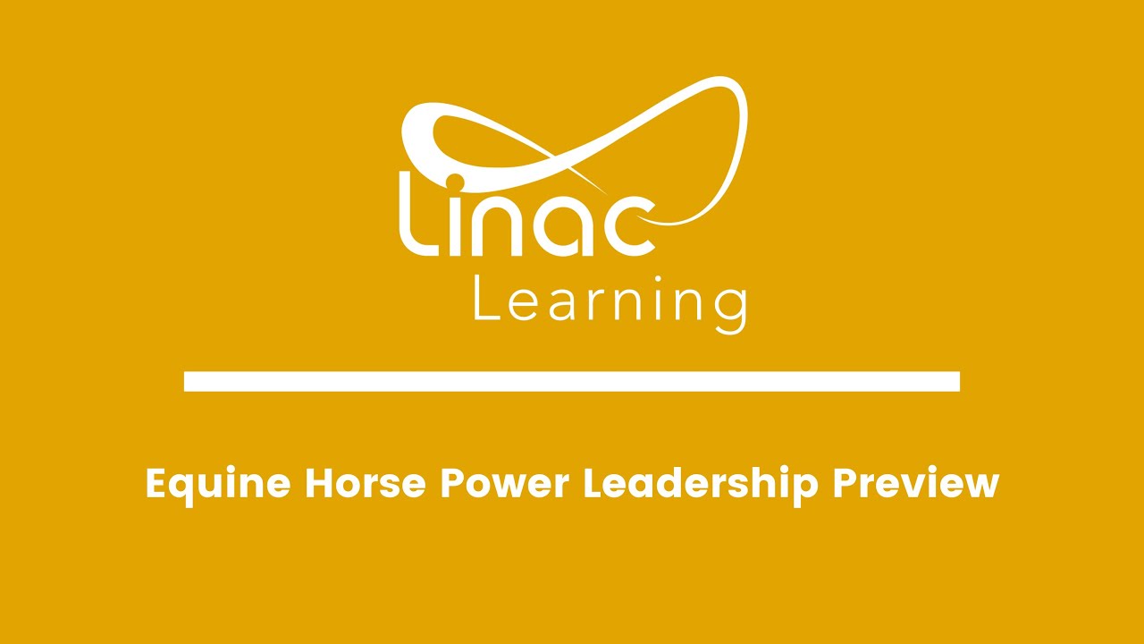Experiential Equine Leadership Development YouTube