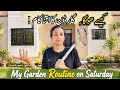 This Is What I Do Every Saturday in My Garden  | Watering, Seed Sowing, Repot, Grass Cutting,Tilling