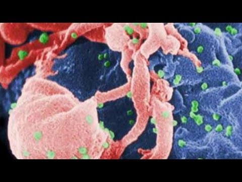 Modelling the Spread of Infectious Diseases - Professor Raymond Flood