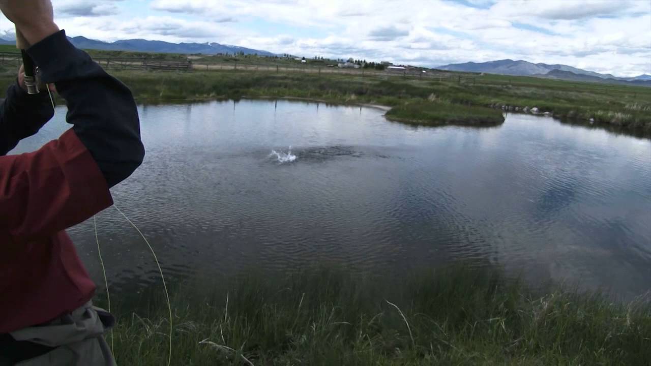 Montana Fly Fishing: McCoy Spring Creeks with Montana Angler
