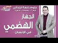 علوم رابعة ابتدائي 2019 | الجهاز الهضمي في الإنسان | تيرم2 - وح1 - در1 | الاسكوله