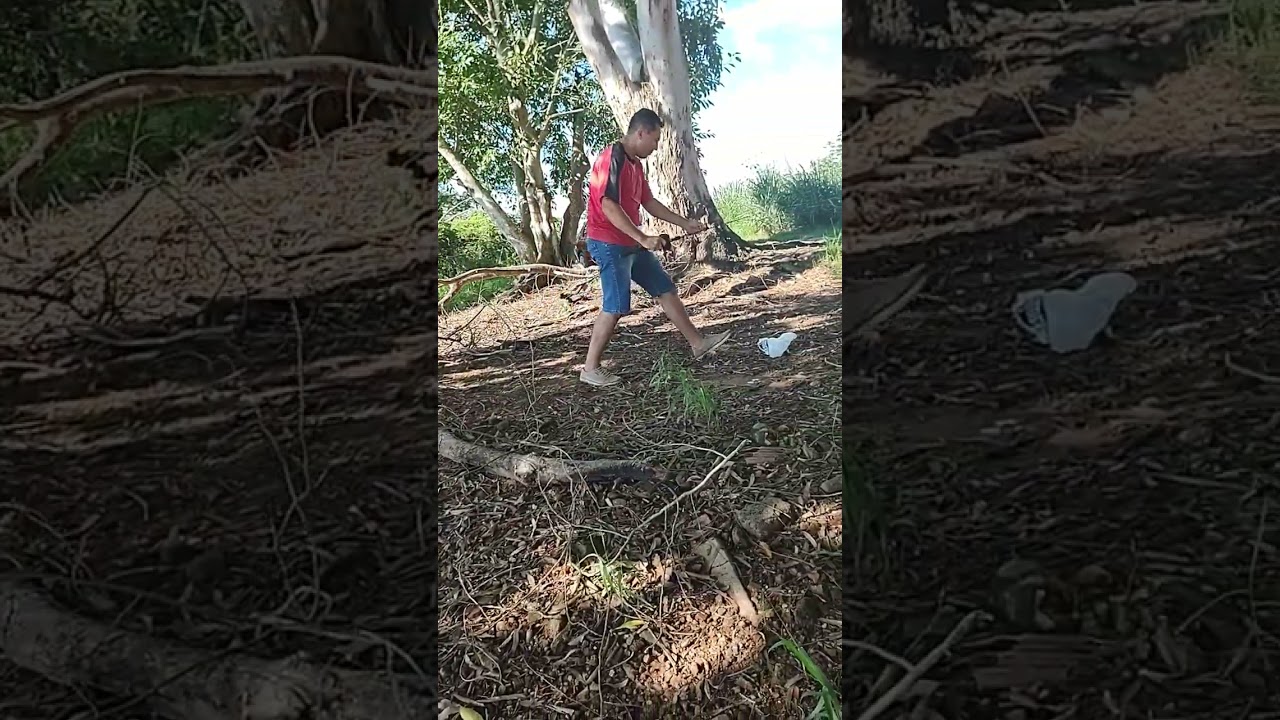 Pescaria com família no rio Paraná 