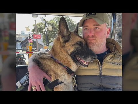 Texas service dog with 250+ Southwest flights takes her final trip home