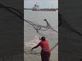 While fishing in the Boudi River, a huge fish was caught with a gill net.#fishing #amazing#sorts