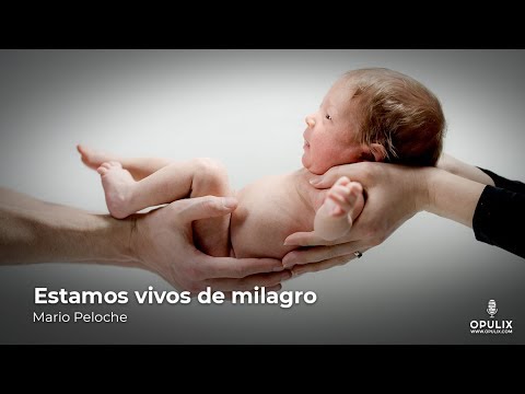 Estamos vivos de