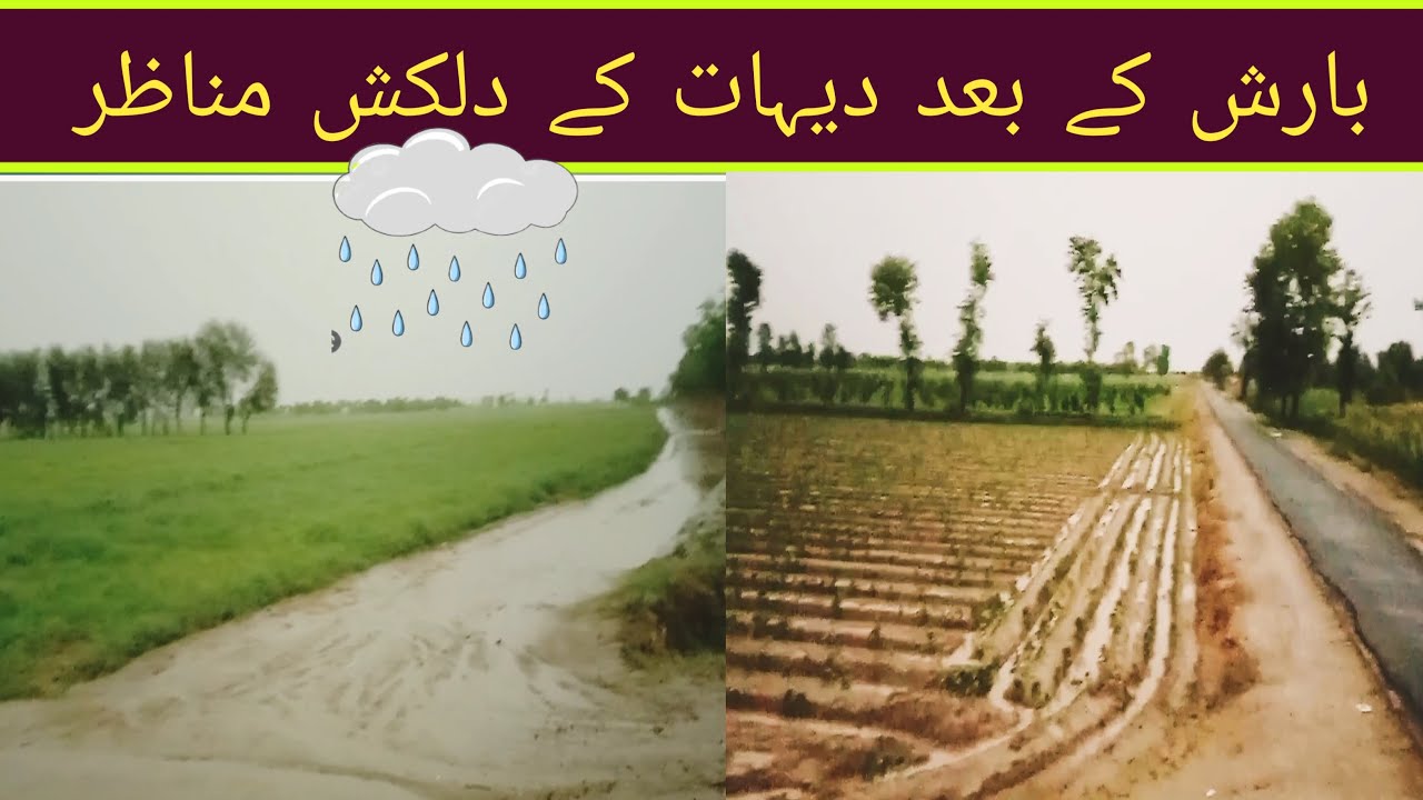 Heavy Rain in pakistan |rainy weather| Rain in our village |Rain in ...