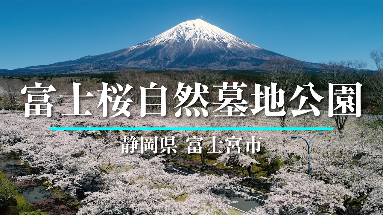 聖教新聞 富士桜自然墓地公園 Youtube
