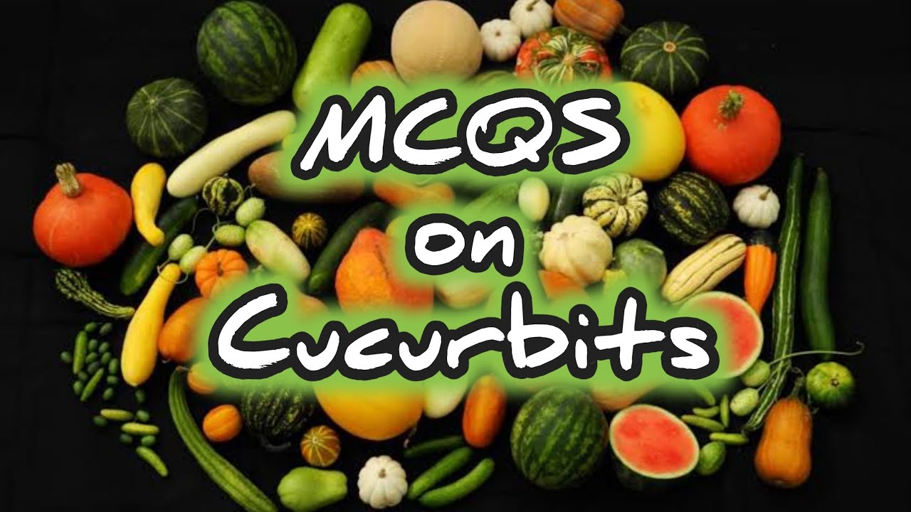 MCQS on Cucurbits II  MCQS for JRF Horticulture II MCQ Horticulture