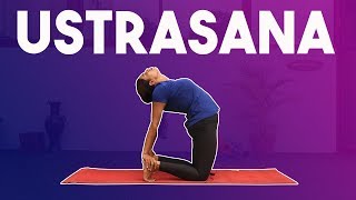 How to do Ustrasana perfectly | Yoga for Beginners
