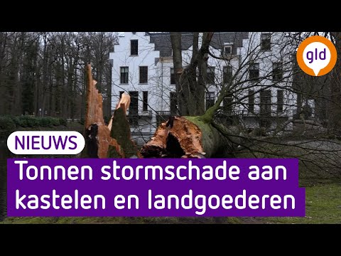 Tonnen aan stormschade bij Gelderse kastelen en landgoederen | Omroep Gelderland