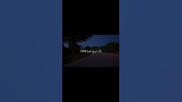 احترم القران الكريم