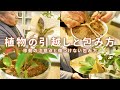 「引越し」での枯れるリスクも多いよ | 注意点・傷つけない梱包の仕方を伝授！【観葉植物】