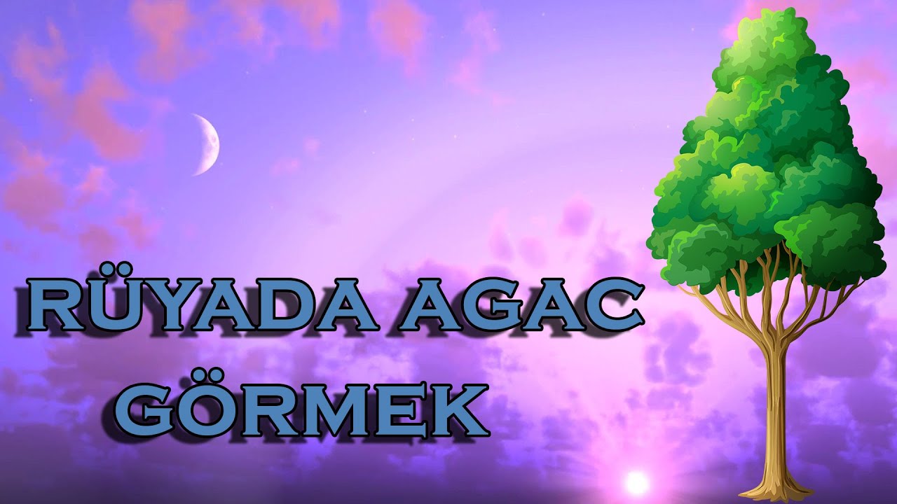 Rüyada Ağaç Görmek YouTube